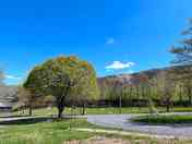 Pitches surrounded by trees