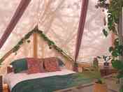 Double bed in the Jungle tent