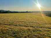 Evening sunshine on the meadow