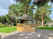 Camping pod surrounded by trees