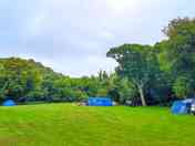 Visitor image of the pitches