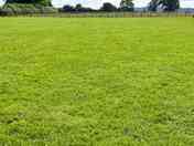 Non-electric grass pitches