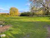 Main field