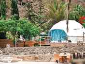 Greenery around a dome