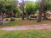 pitch for tent