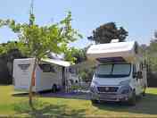 Grass pitch