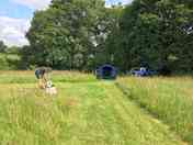 Pitches mown into the long grass (added by manager 09 Jun 2022)