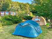 Grass pitches shaded by trees