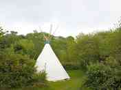 Tipi on the private site, plenty of privacy