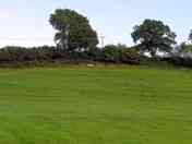 The next field, with the bench with a view