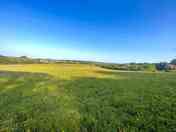 Early morning view from the camping field