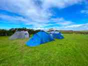 Grass pitches