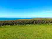 View from the field