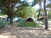 Shaded pitch