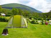 Grass pitches with electric hook-up