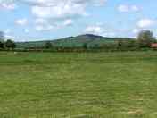 The view of the site