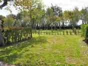 View of the pitches