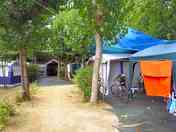 Pitched on a tree-lined path
