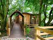 Treehouse entrance