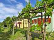 Lodges amid the vineyards