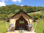 Safari tent