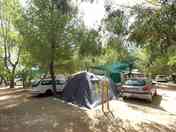 Set up among the trees