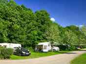 Pitches on site