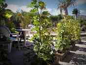 Private terrace