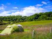 Tent setup in the field.