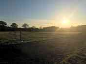 Large grass field