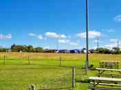 Pitches on site