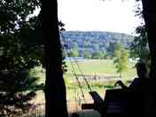 Lookout swing at Phil Camp