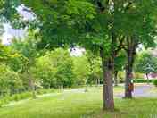 Grassy pitches