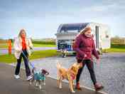 Hard-standing, fully serviced pitches and tarmac roadways. Dogs welcome too!