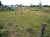 Paddock pitches