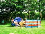 Electric Grass Pitch Family