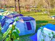 Rental tents sleep up to eight