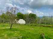 Tucked away and surrounded by apple trees.. 'The Orchard' double bell tent.
