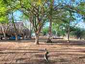 Shaded pitches