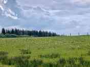 View across the campsite