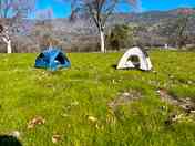 Tent pitches