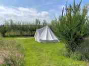 One of our three camping terrace with a guests bell tent.