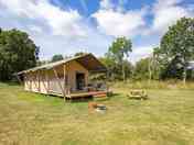 Safari Tents