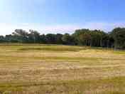 Grassy pitches surrounded by trees (added by manager 04 Jul 2021)