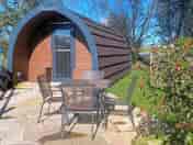 Oak pod (added by manager 12 Mar 2023)