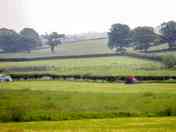Field view