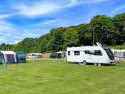 Electric grass pitches