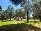 Fully serviced hardstanding and grass pitch