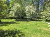 Orchard pitches