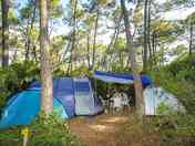 Forest floor pitches